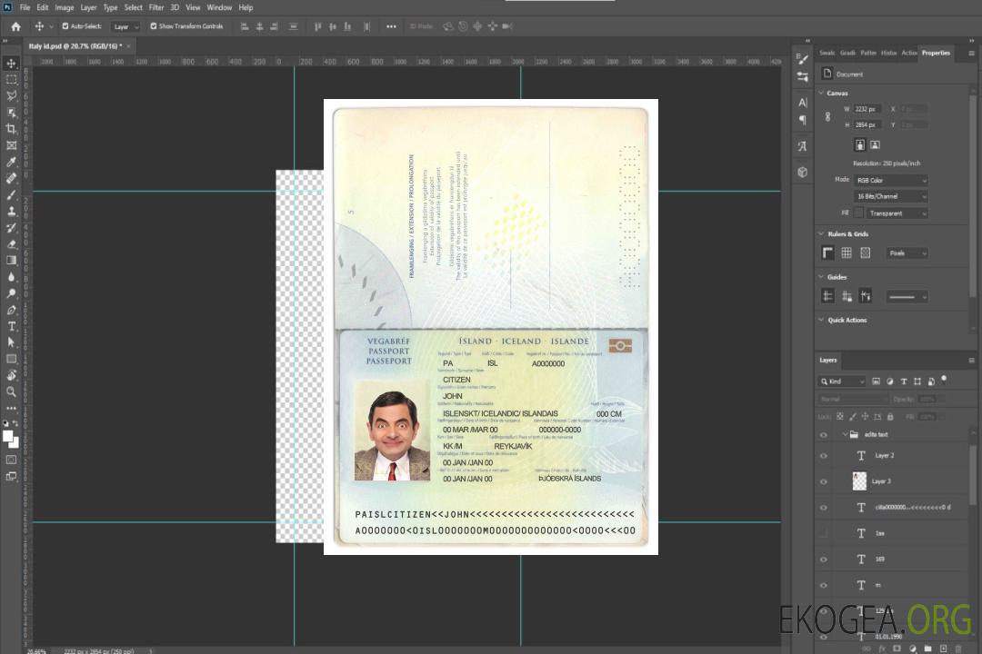 Passeport islandais template